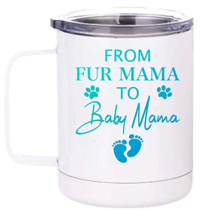 From Fur Mama To Mama Dog Cat Owner New Mom Pregnant Gift Front & Back 12oz Stainless Steel Tumbler Cup