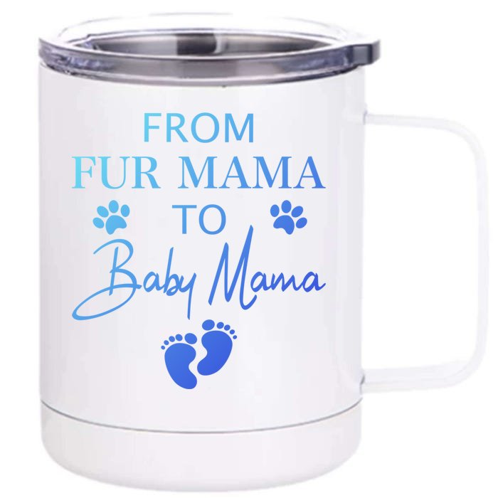 From Fur Mama To Mama Dog Cat Owner New Mom Pregnant Gift Front & Back 12oz Stainless Steel Tumbler Cup