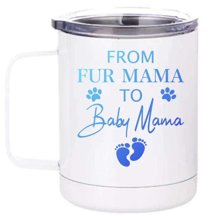 From Fur Mama To Mama Dog Cat Owner New Mom Pregnant Gift Front & Back 12oz Stainless Steel Tumbler Cup