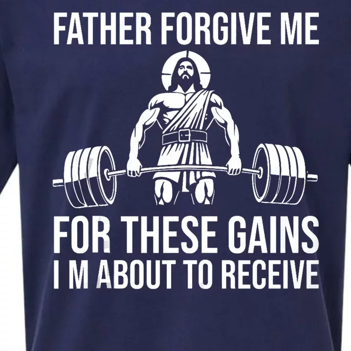 Father Forgive Me For These Gains Funny Gym Motivation Sueded Cloud Jersey T-Shirt