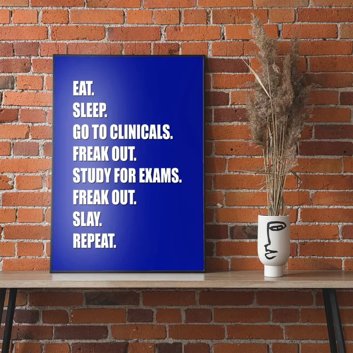 Funny Future Nurse Slay Eat Sleep Clinicals Nursing School Meaningful Gift Poster