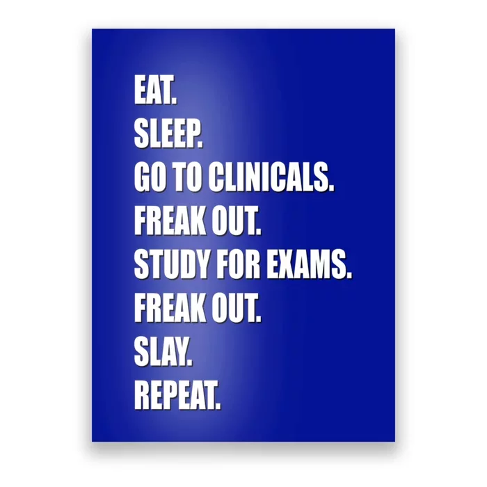 Funny Future Nurse Slay Eat Sleep Clinicals Nursing School Meaningful Gift Poster