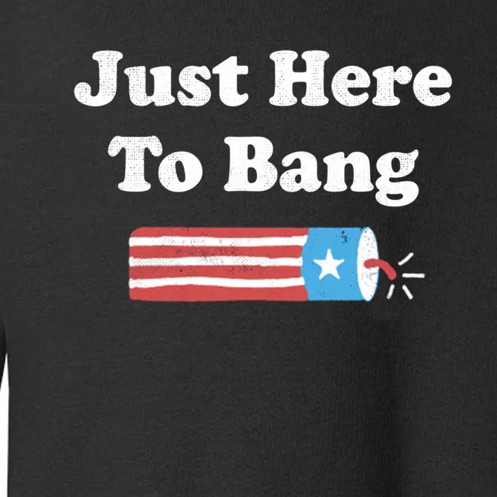 Funny Fourth Of July 4th Of July Im Just Here To Bang Long Toddler Sweatshirt