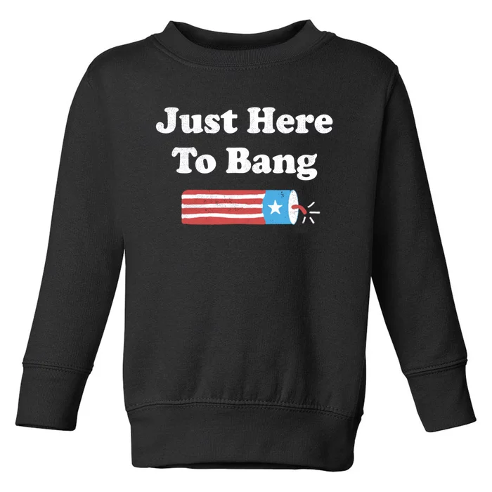 Funny Fourth Of July 4th Of July Im Just Here To Bang Long Toddler Sweatshirt