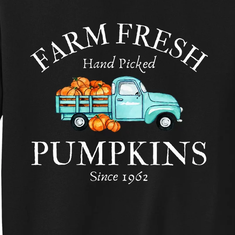 Farm Fresh Pumpkins Tall Sweatshirt