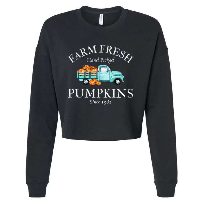 Farm Fresh Pumpkins Cropped Pullover Crew