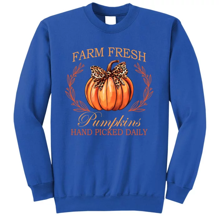 Farm Fresh Pumpkin Patch Coquette Bow Autumn Halloween Funny Great Gift Sweatshirt