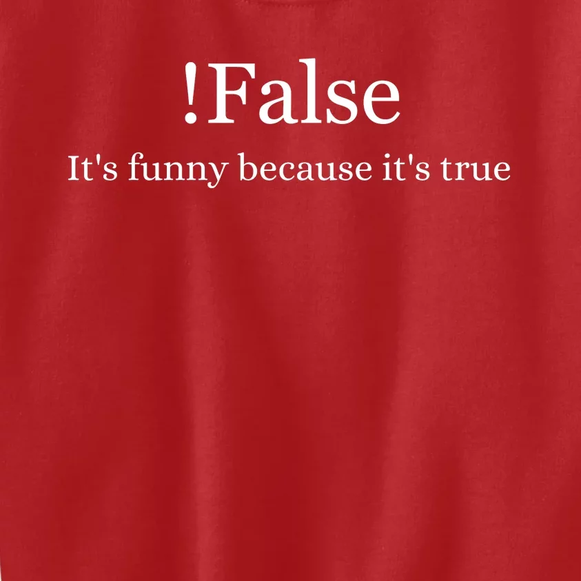 Funny False Programming Coding Gift For Programmers Kids Sweatshirt