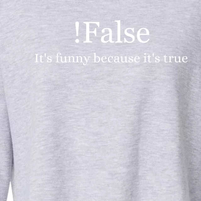 Funny False Programming Coding Gift For Programmers Cropped Pullover Crew