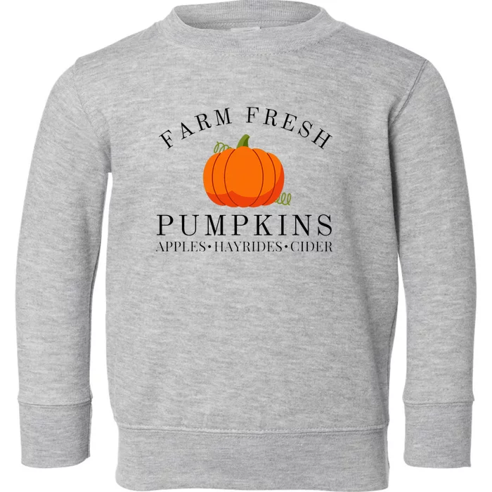 Farm Fresh Pumpkins Apples Hayrides Cider Thanksgiving Fall Toddler Sweatshirt