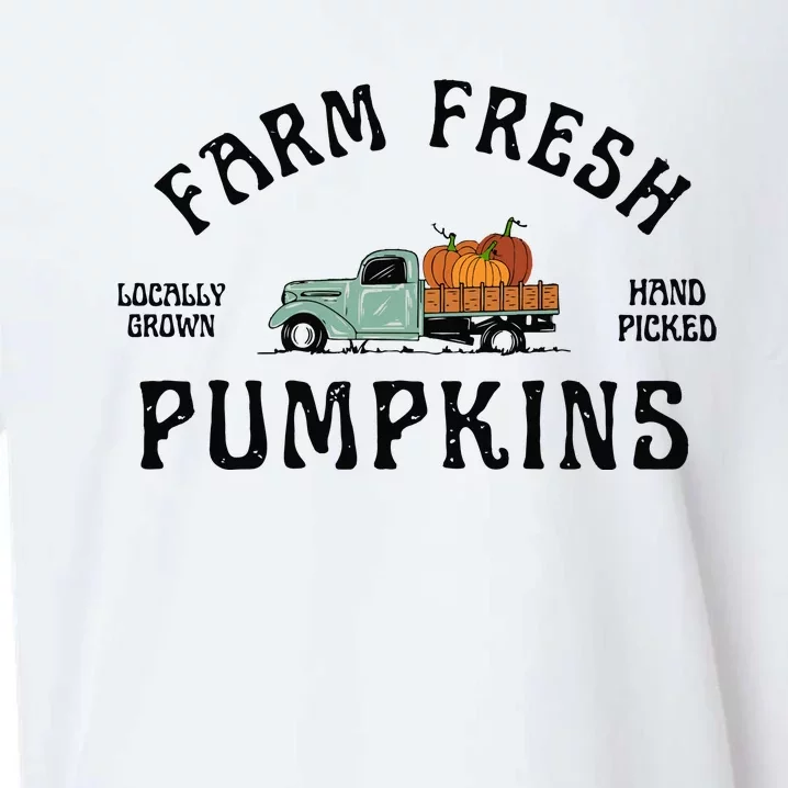 Farm Fresh Pumpkins Fall Women Thanksgiving Sueded Cloud Jersey T-Shirt