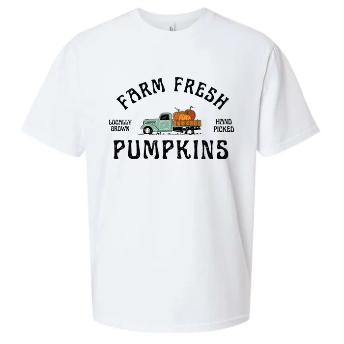 Farm Fresh Pumpkins Fall Women Thanksgiving Sueded Cloud Jersey T-Shirt