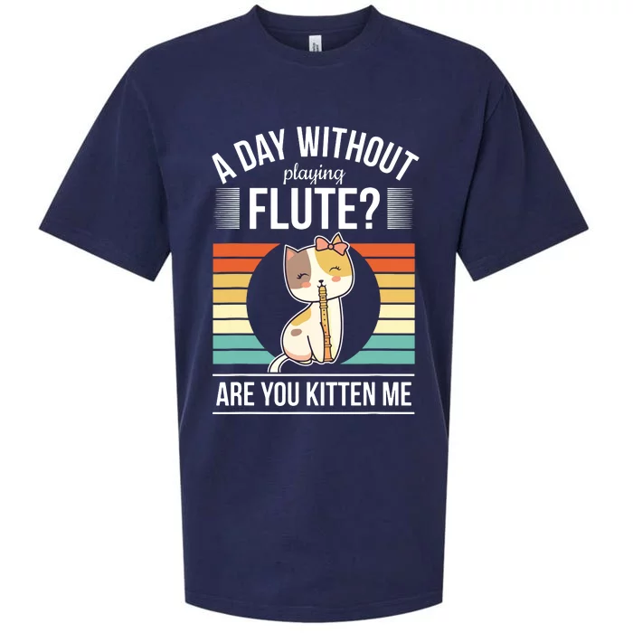 Funny Flute Player Saying Flutist Day Without Playing Flute Sueded Cloud Jersey T-Shirt