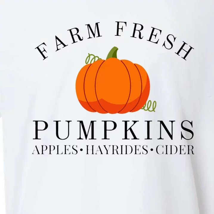 Farm Fresh Pumpkins Apples Hayrides Cider Thanksgiving Fall Sueded Cloud Jersey T-Shirt