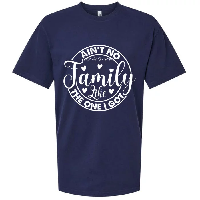 Funny Family Reunion Quotes For Family Appreciation Gift Sueded Cloud Jersey T-Shirt