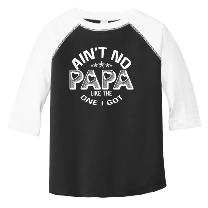 Funny Family Reunion Fathers Day AinT No Papa Like The One I Got Toddler Fine Jersey T-Shirt