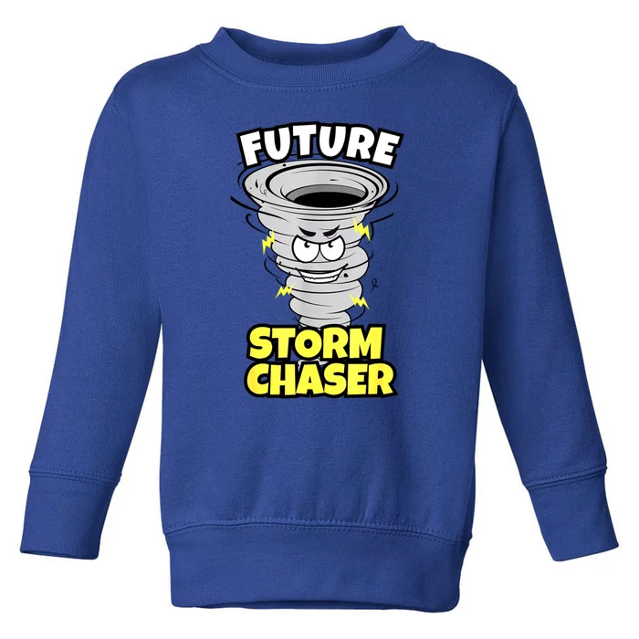 Funny Future Storm Gift For Chaser Meteorologist Toddler Sweatshirt