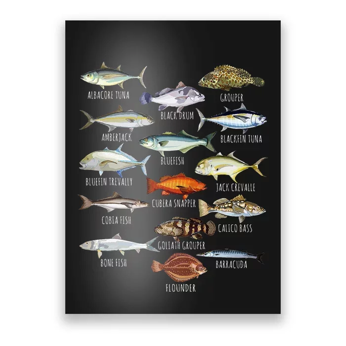 Fishkeeping Fish Species Biology Types Of Aquarium Fish Poster