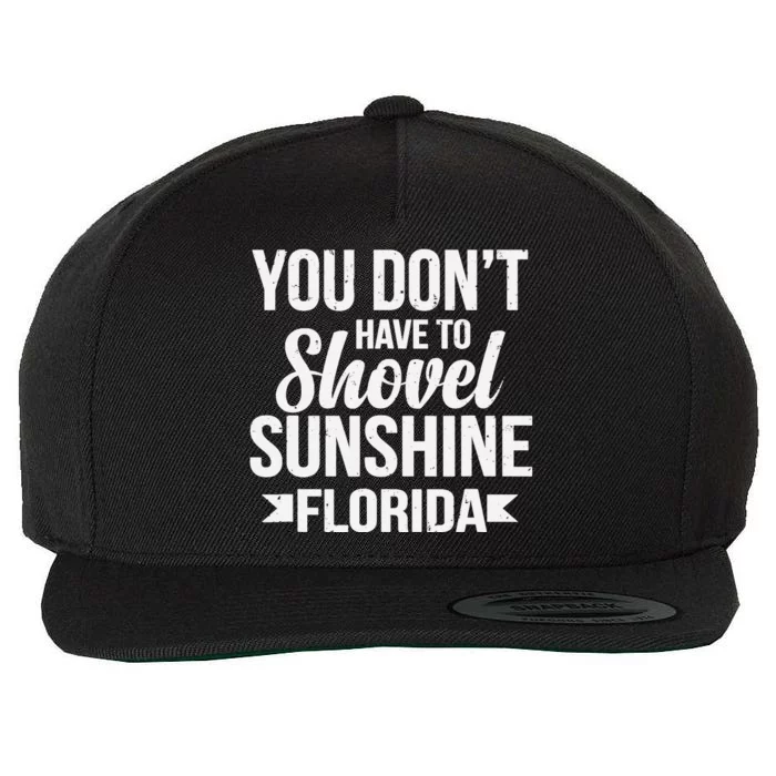 Funny Florida Vacation Gift Funny Snow Bird Beach Wool Snapback Cap