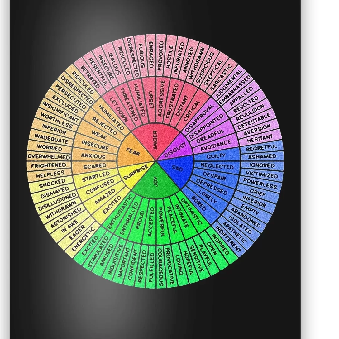 Funny Feelings Wheel Emotion Chart Mental Health Therapy Chart Gift Poster