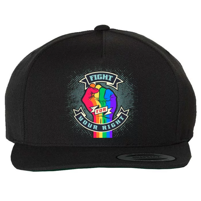 Fight For Your Right LGBT Pride Wool Snapback Cap