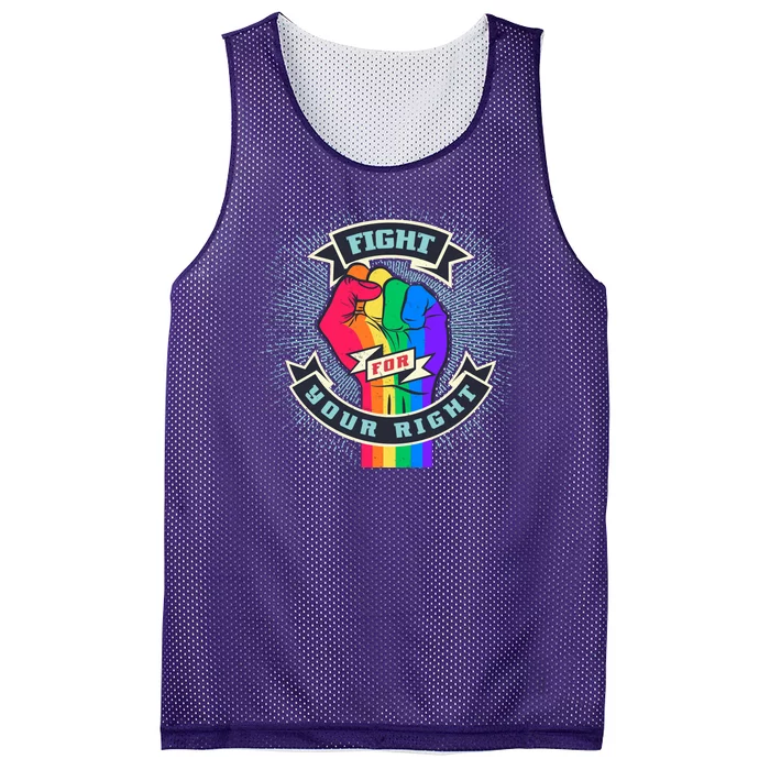 Fight For Your Right LGBT Pride Mesh Reversible Basketball Jersey Tank