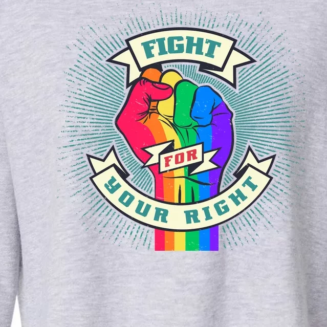 Fight For Your Right LGBT Pride Cropped Pullover Crew