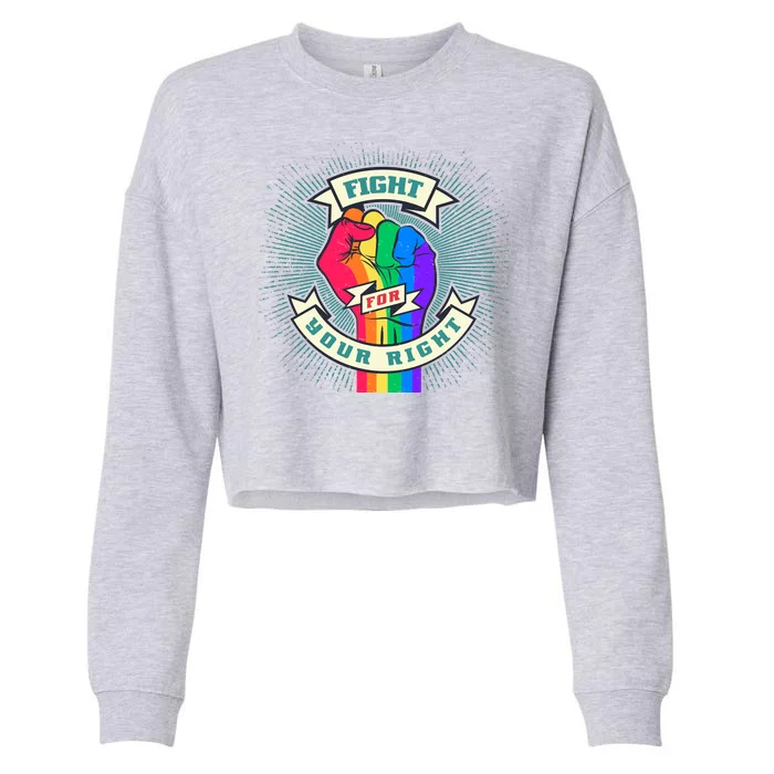 Fight For Your Right LGBT Pride Cropped Pullover Crew