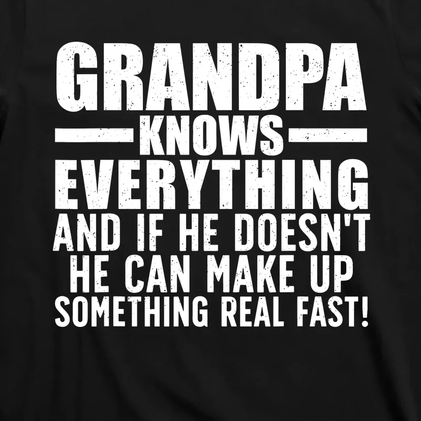 Funny Grandpa Art For Grandpa Grandfathers Day Papi T-Shirt