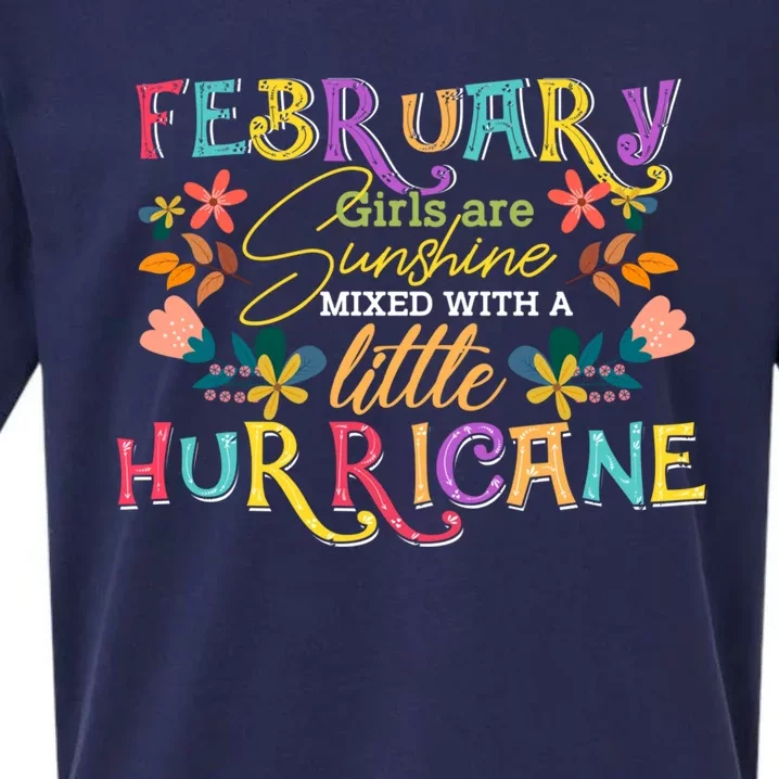 February Girls Birthday Funny Sunshine Mixed Hurricane Gift Sueded Cloud Jersey T-Shirt