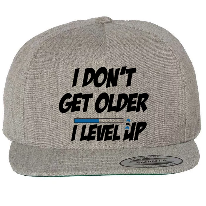 Funny Gamer Birthday Humor I Dont Get Older I Level Up Funny Gift Wool Snapback Cap