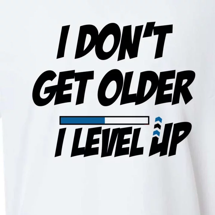 Funny Gamer Birthday Humor I Dont Get Older I Level Up Funny Gift Sueded Cloud Jersey T-Shirt