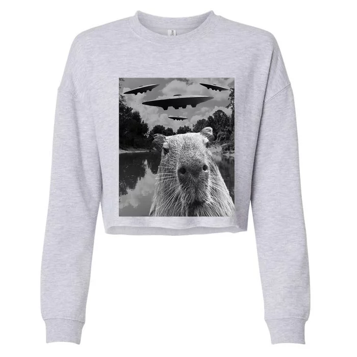 Funny Graphic Capybara Selfie With Ufos Weird Cropped Pullover Crew