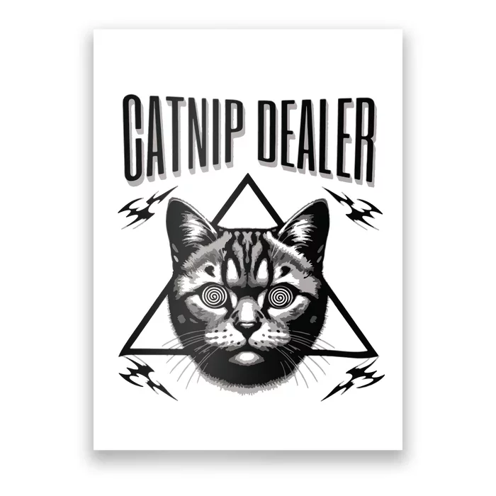 Funnycat Gifts Cat Dad Gifts Cat Lover Gift Poster