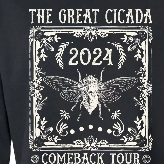 Funny Great Cicada Comeback 2024 Insect Invasion Cropped Pullover Crew