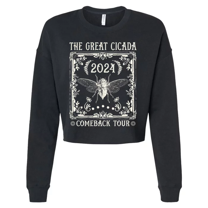 Funny Great Cicada Comeback 2024 Insect Invasion Cropped Pullover Crew