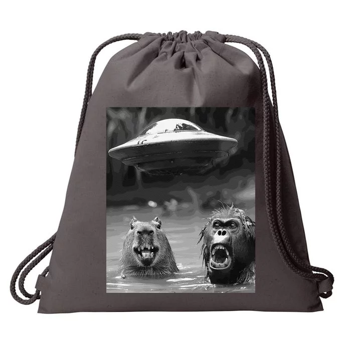 Funny Graphic Capybara Bigfoot Sasquatch Alien Ufo Drawstring Bag