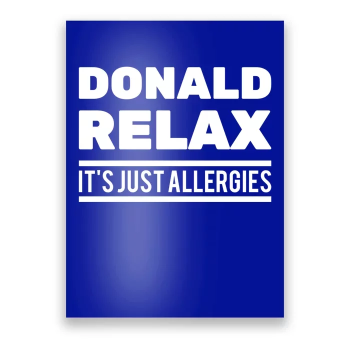 Funny Gift Donald Relax It's Just Allergies Gift Sarcastic Jokes Meaningful Gift Poster