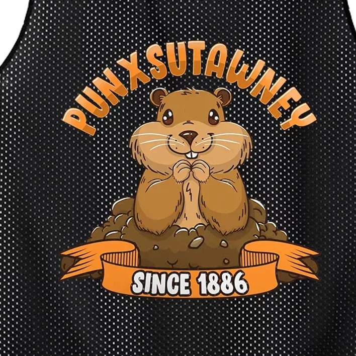 Funny Groundhog Day Phil Cute Ground Hog Punxsutawney Mesh Reversible Basketball Jersey Tank