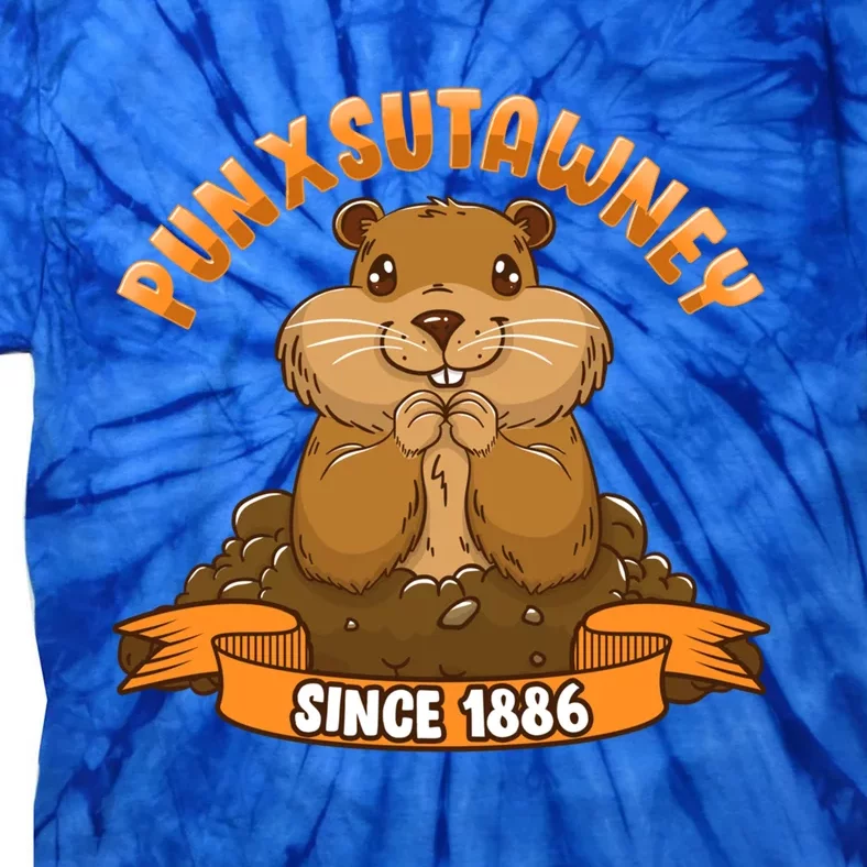 Funny Groundhog Day Phil Cute Ground Hog Punxsutawney Gift Tie-Dye T-Shirt