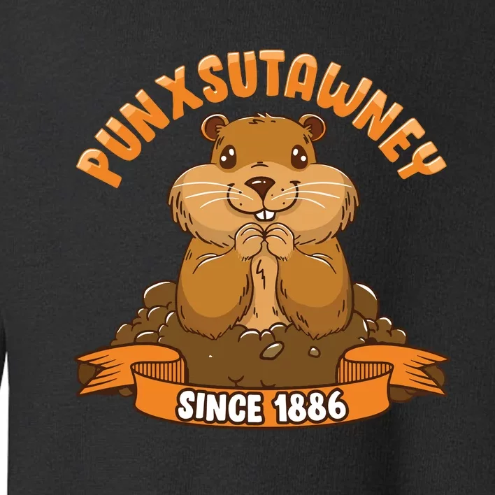 Funny Groundhog Day Phil Cute Ground Hog Punxsutawney Toddler Sweatshirt