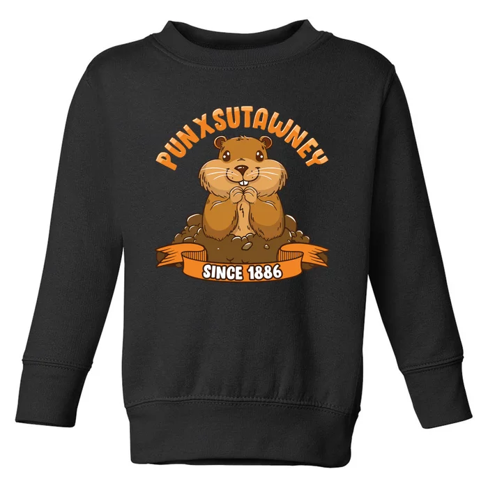 Funny Groundhog Day Phil Cute Ground Hog Punxsutawney Toddler Sweatshirt