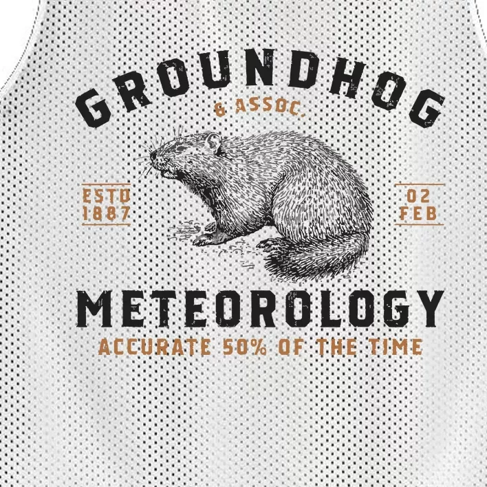 Funny Groundhog Day Shirts Groundhog Meteorology Mesh Reversible Basketball Jersey Tank