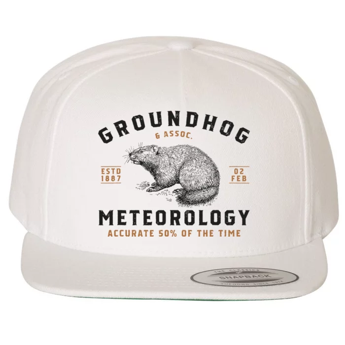 Funny Groundhog Day Shirts Groundhog Meteorology Wool Snapback Cap