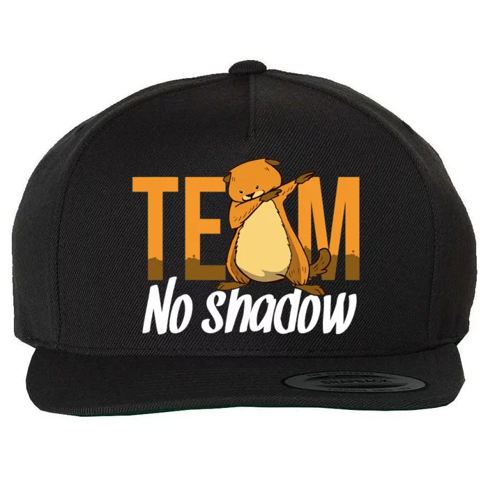 Funny Groundhog Day Team No Shadow Dabbing Wool Snapback Cap