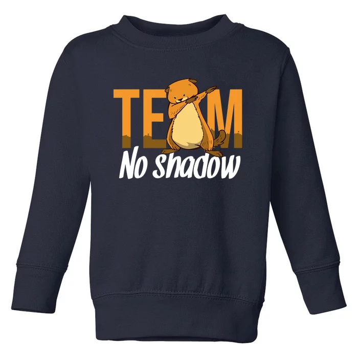 Funny Groundhog Day Team No Shadow Dabbing Toddler Sweatshirt