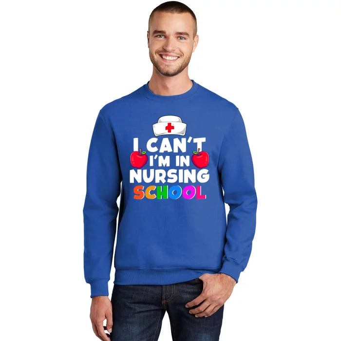 Funny Gift Design Idea Nursing School Gift Tall Sweatshirt