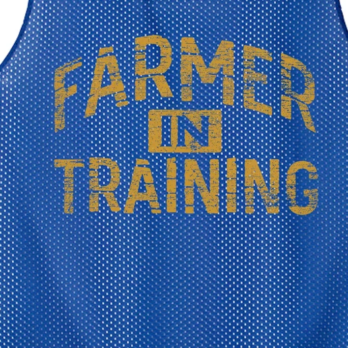 Farm Gift Farming Lover Future Farmer Gift Mesh Reversible Basketball Jersey Tank