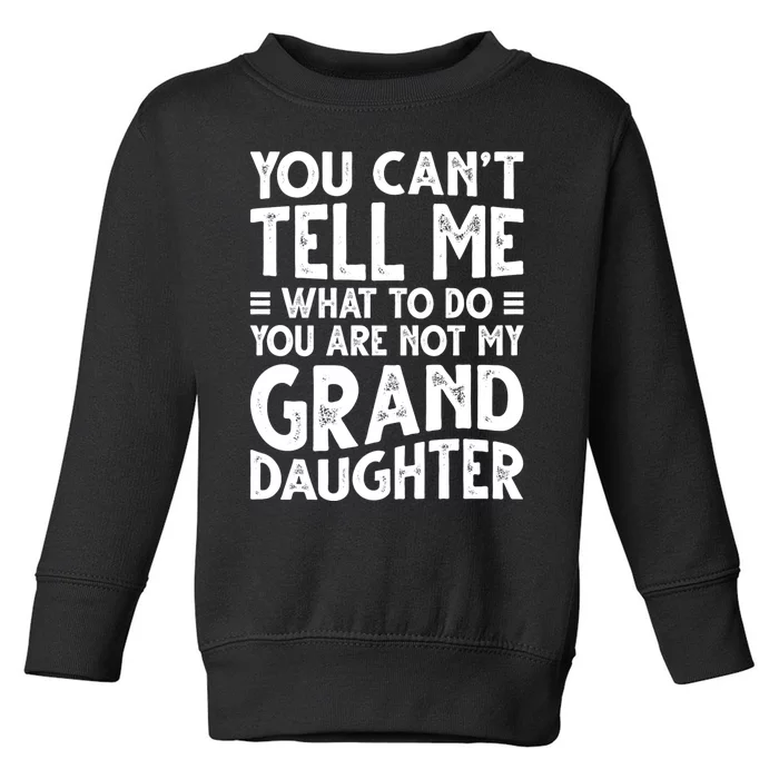 Funny Grandpa For Grandfather Papa Birthday Toddler Sweatshirt