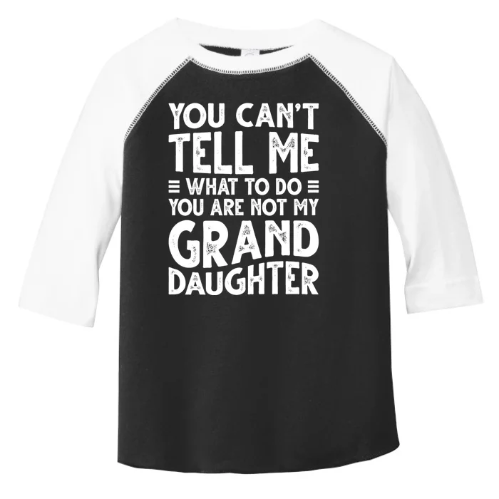 Funny Grandpa For Grandfather Papa Birthday Toddler Fine Jersey T-Shirt